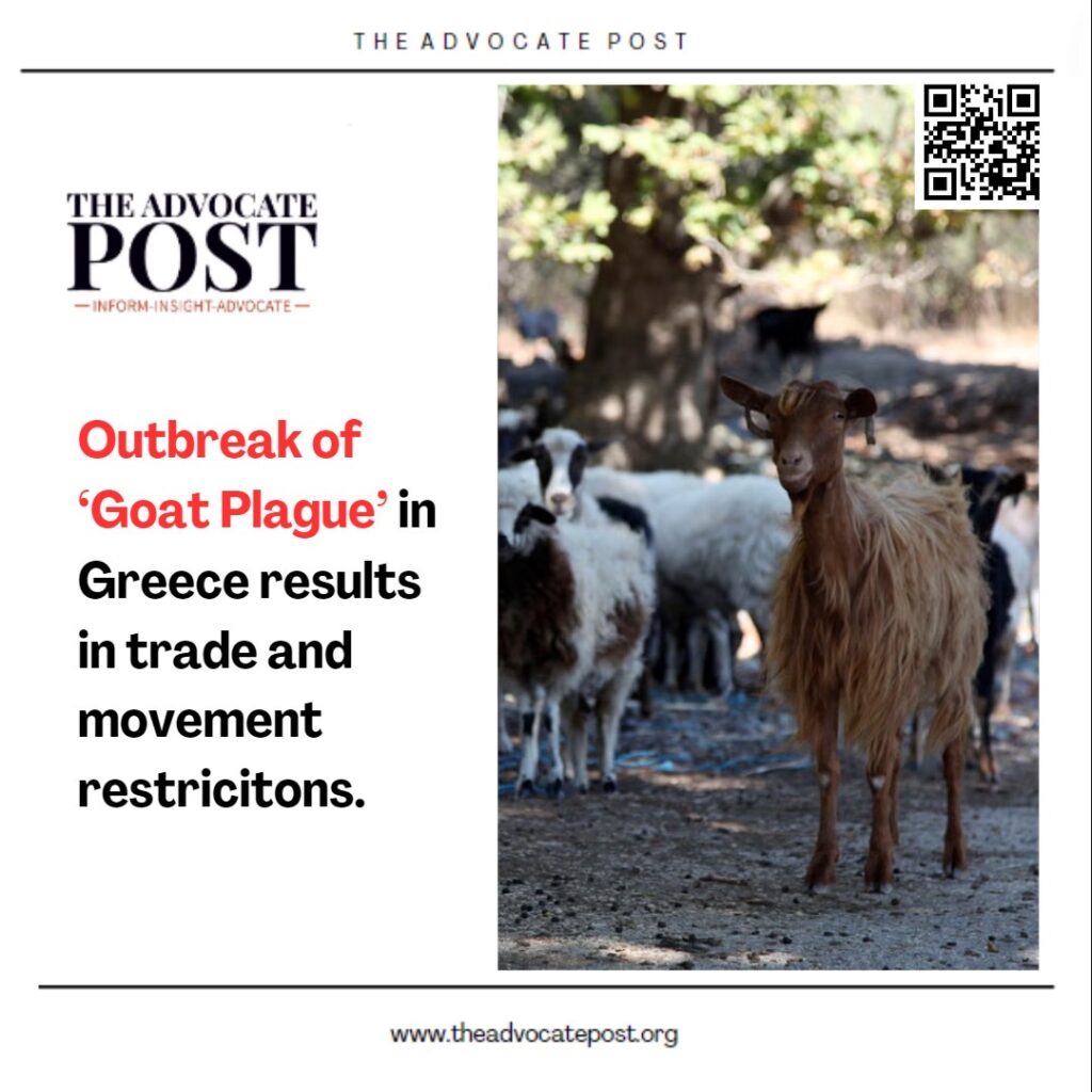 Goat Restriction Outbreak of ‘Goat Plague’ forces Greece to impose restrictions - The ...