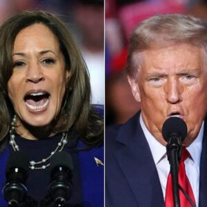 Trump Is Better than Kamala Harris…