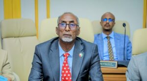 Somaliland Enforces Immigration Reforms with Temporary Residency Program for Undocumented Foreigners