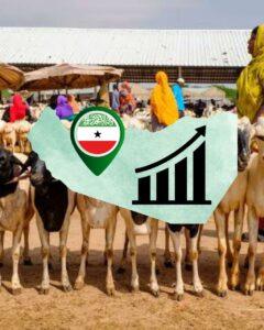 Somaliland Economy