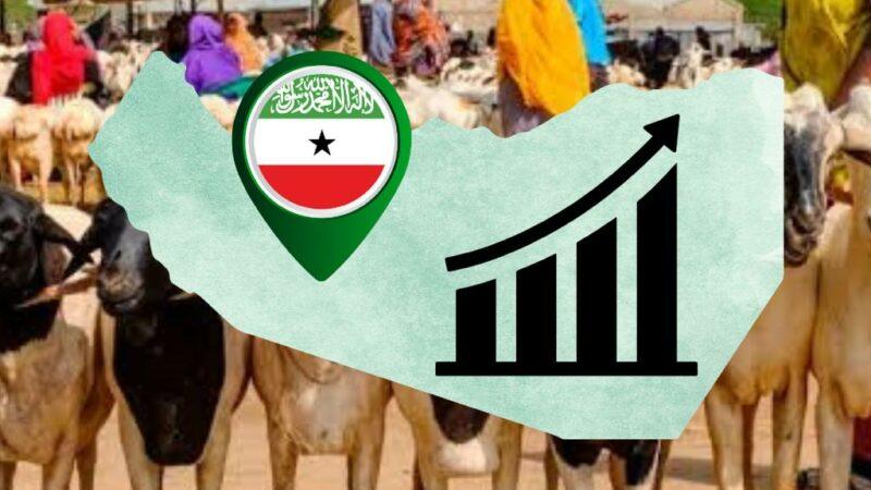 Somaliland Economy