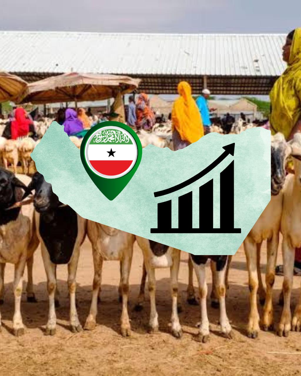 Somaliland Economy
