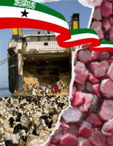 Somaliland Growth Livestock and Minerals