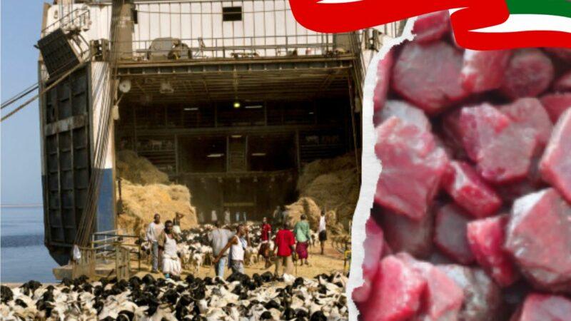 Somaliland Growth Livestock and Minerals